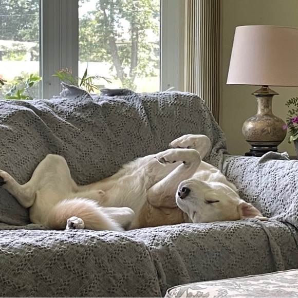 Meet your Posher, Mark - Picture 1 of 1